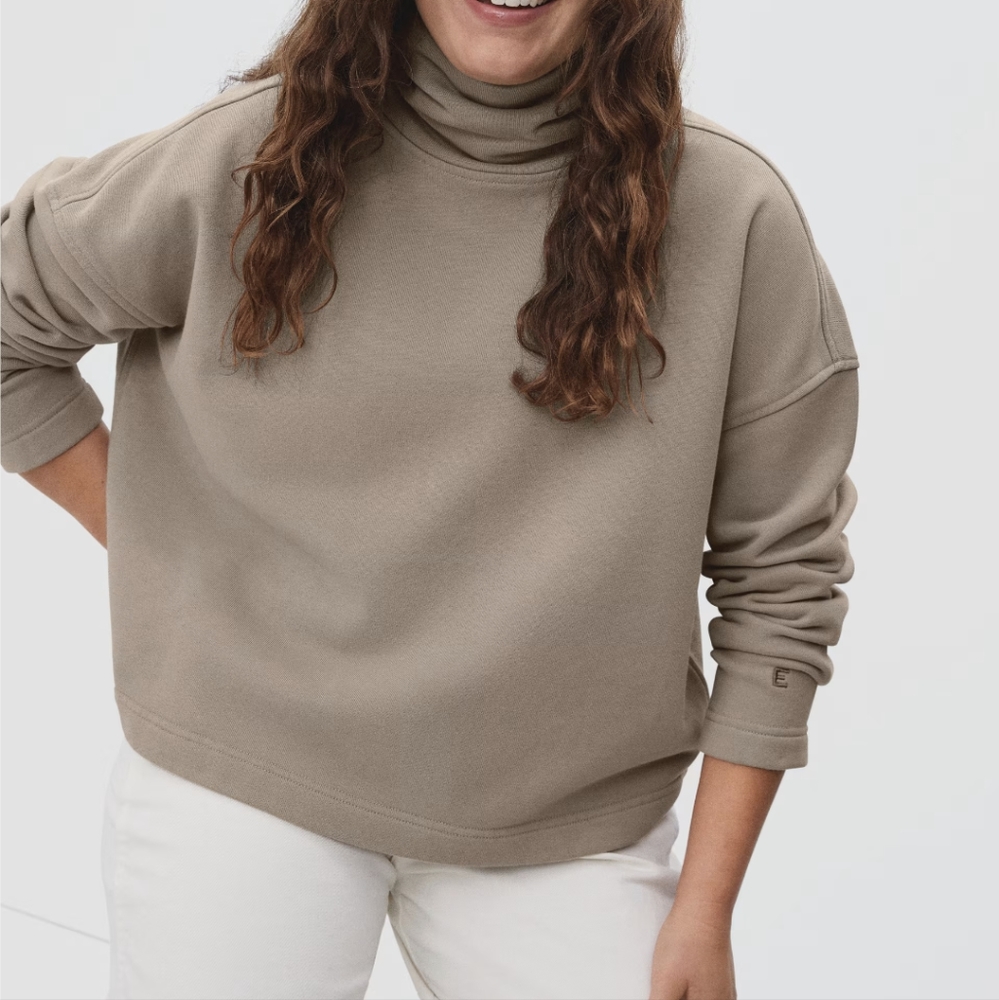 Everlane The Turtleneck Sweatshirt